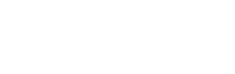 IVG